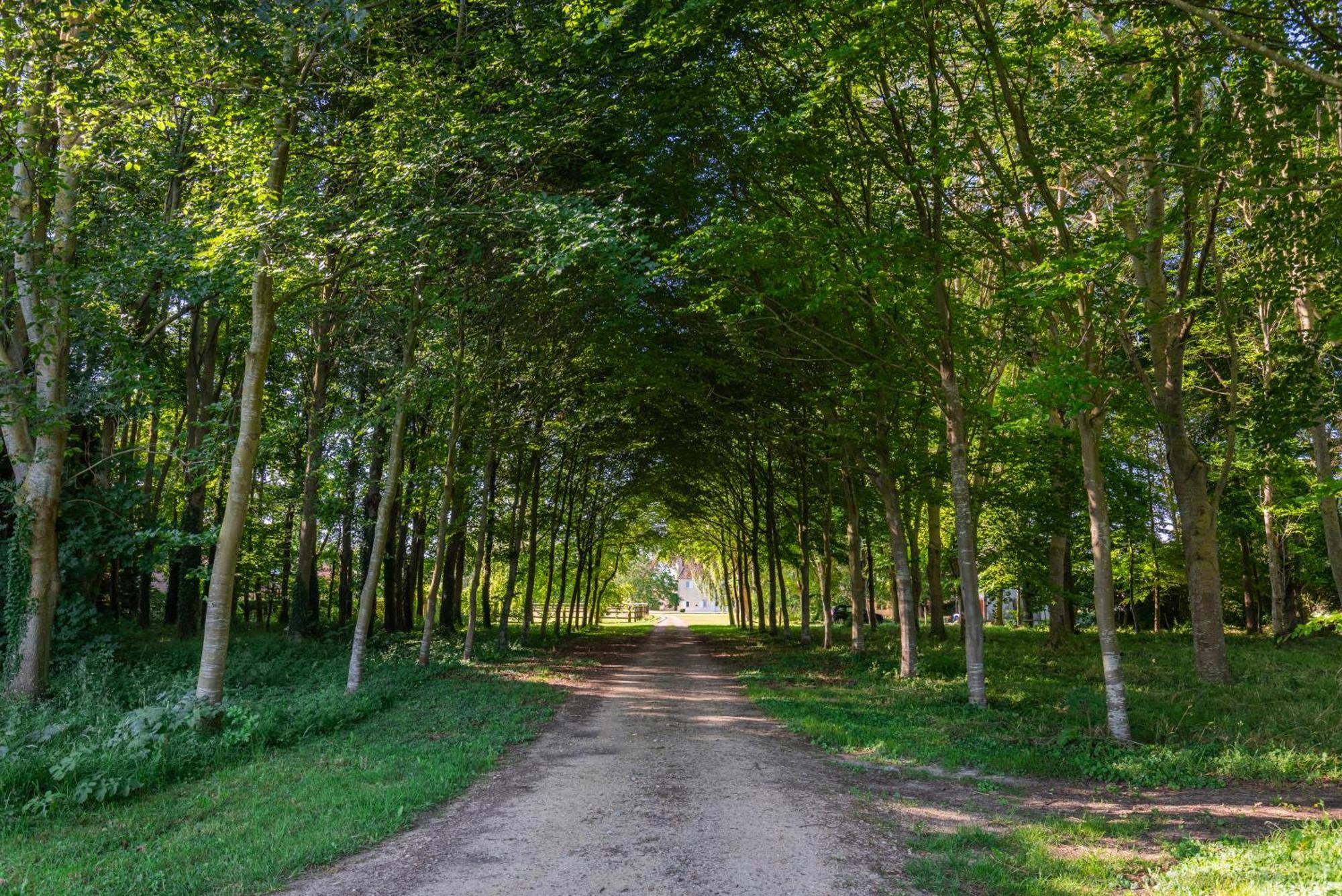 Maison "Jardin Gaillard" Bieville-en-Auge Buitenkant foto